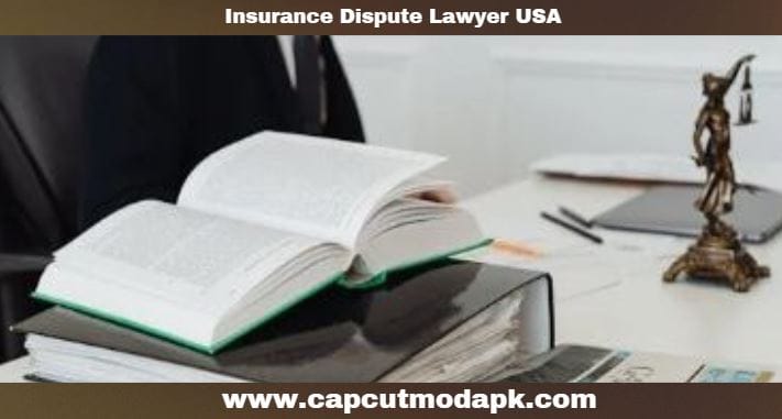 Insurance Dispute Lawyer USA