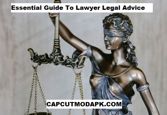 Lawyer Legal Advice