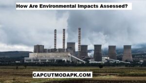 How Are Environmental Impacts Assessed