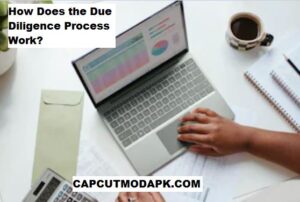 How Does the Due Diligence Process Work
