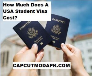 How Much Does A USA Student Visa Cost