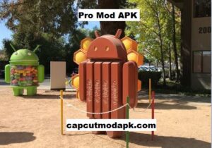Pro Mod APK