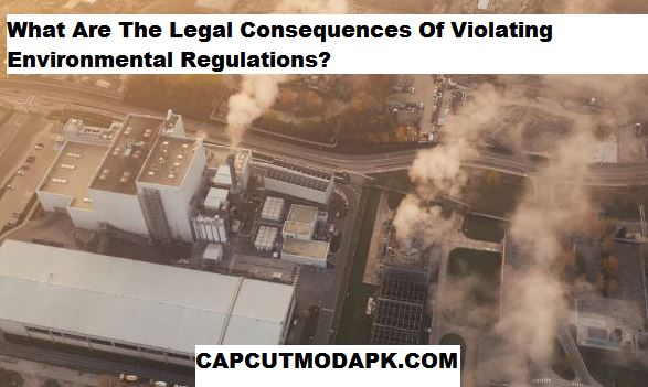 What Are The Legal Consequences Of Violating Environmental Regulations