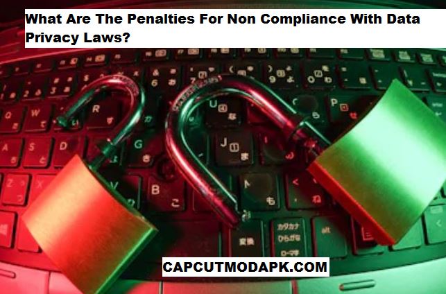 What Are The Penalties For Non Compliance With Data Privacy Laws
