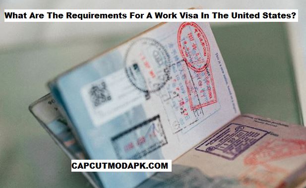 What Are The Requirements For A Work Visa In The United States