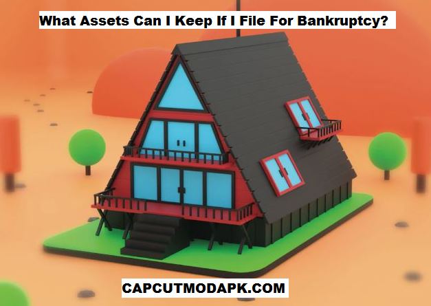 What Assets Can I Keep If I File For Bankruptcy
