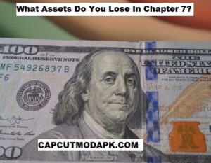 What Assets Do You Lose In Chapter 7