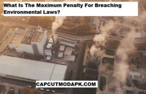 What Is The Maximum Penalty For Breaching Environmental Laws