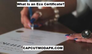 What Is an Eco Certificate