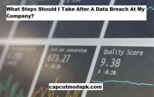 What Steps Should I Take After A Data Breach At My Company