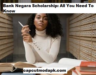 Bank Negara Scholarship