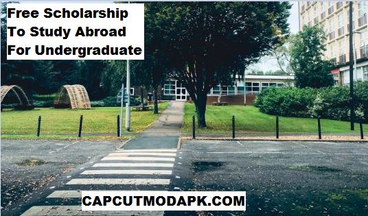 Free Scholarship To Study Abroad For Undergraduate