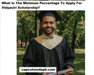 What Is The Minimum Percentage To Apply For Vidyasiri Scholarship